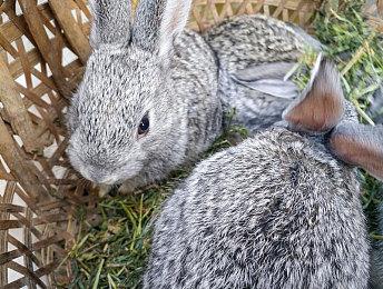 真假难辨 《德州电锯杀人狂》游戏电影对比预告